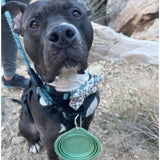 Collapsible Silicone Dog Bowl