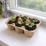 Seed Ball Kit