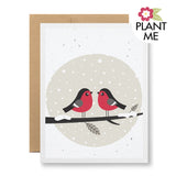 Plantable Greeting Cards