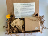 Seasons of Bloom Grow Kit