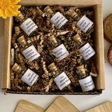 Seasons of Bloom Grow Kit