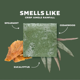 Rainforest Rapids Soap Bar