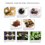 Seed Ball Kit