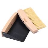 Mini Dustpan Set