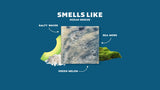 Coastal Mist Soap Bar