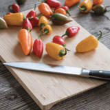 Cutting and Serving Board (S, M, L)