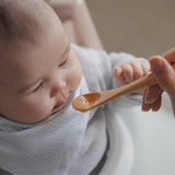 Baby's Bamboo Feeding Spoons Set of 2