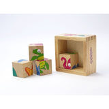 Buddy Blocks - Beginner Block Puzzle Set!