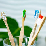 Ultrasoft Bristles Adult Bamboo Toothbrush