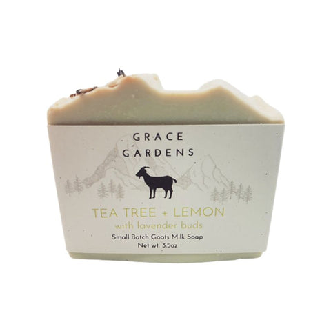 Goats Milk Soap Tea Tree + Lemon