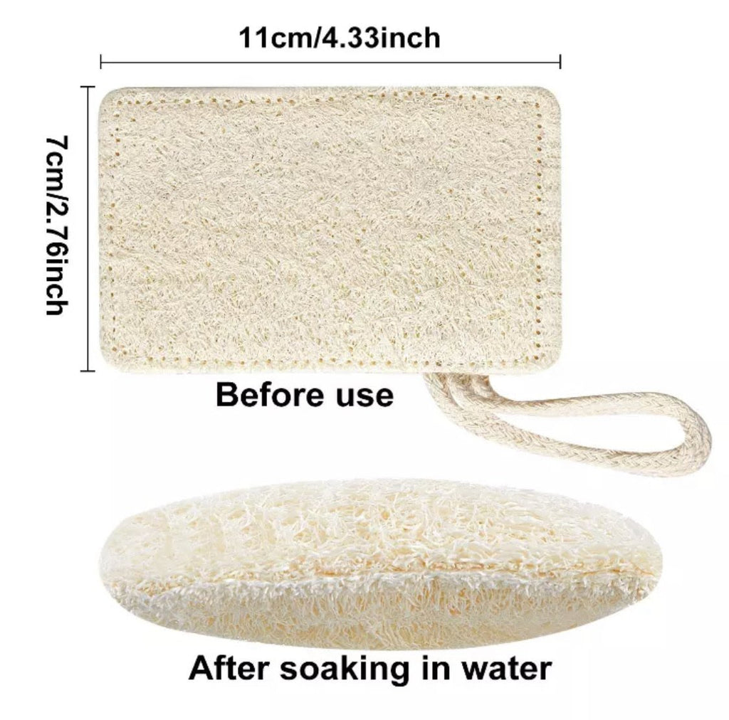 Loofah Kitchen Sponge - (3 Pack)