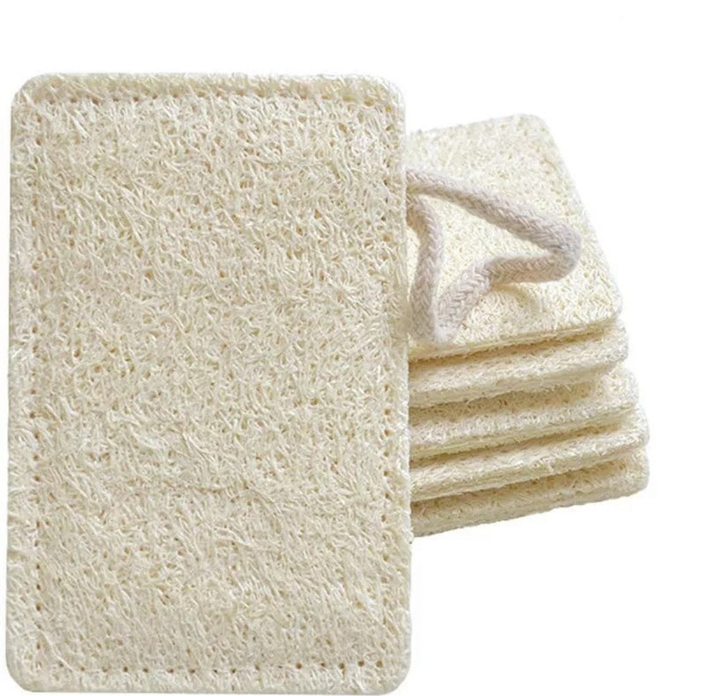 Natural Dish Sponge  Compostable Loofah - The Refill Shoppe